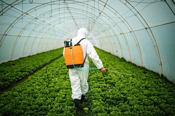 Best Pest Control Near Me  in Longview Heights, WA