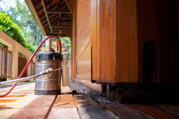 Best Pest Prevention Services  in Longview Heights, WA