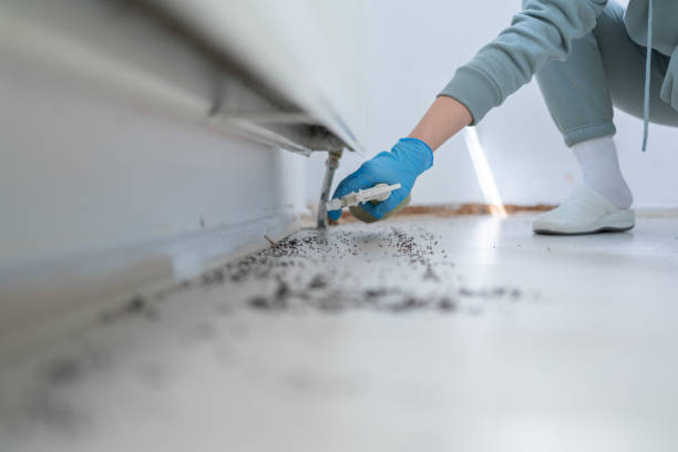 Best Wildlife Control Services  in Longview Heights, WA